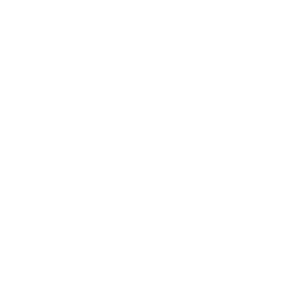 Market studies and viability studies